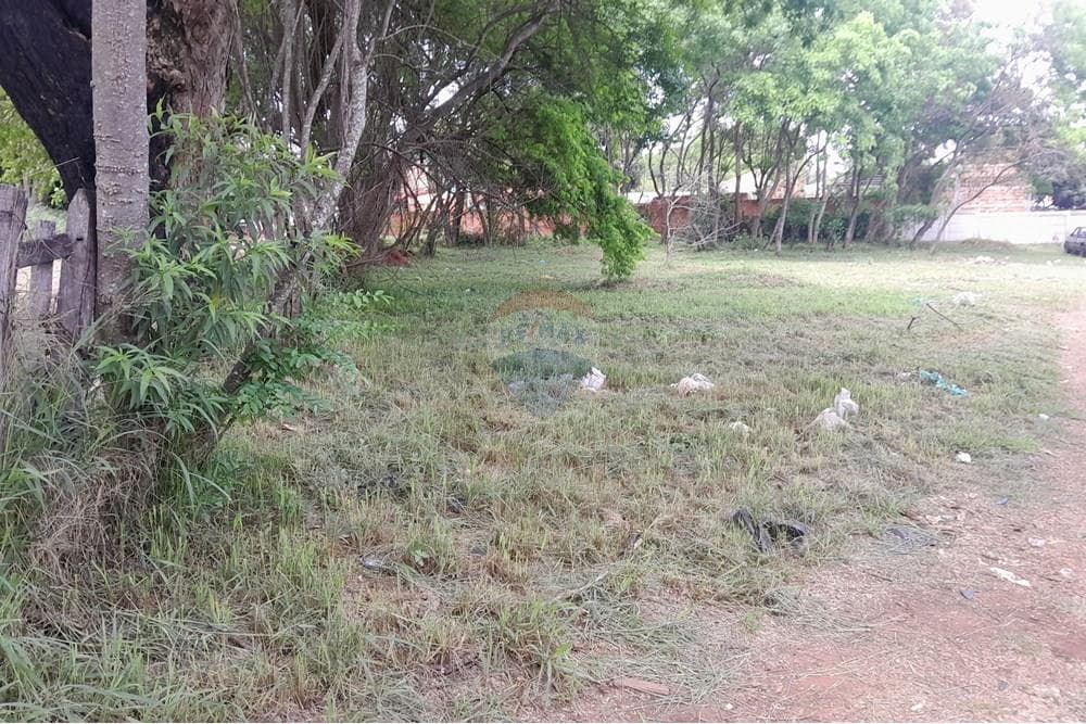 Terreno - Venta - Capiata, Paraguay, foto 4