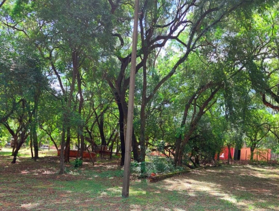 1.5 hectáreas en Lambaré, foto 1