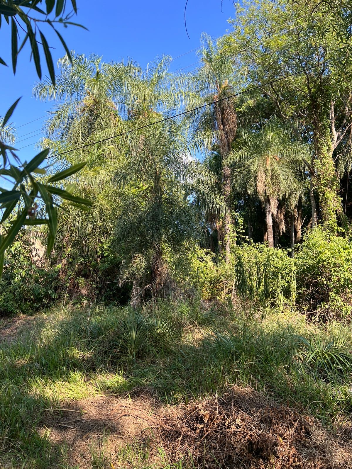 Terreno en venta caacupe loma, foto 2