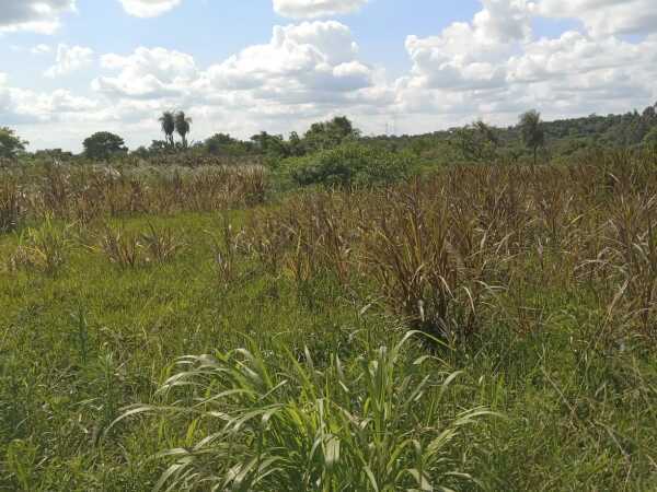 De terreno, foto 3