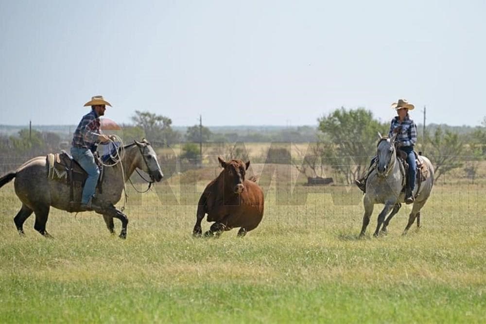 Estancia en el chaco paraguayo — foto 5