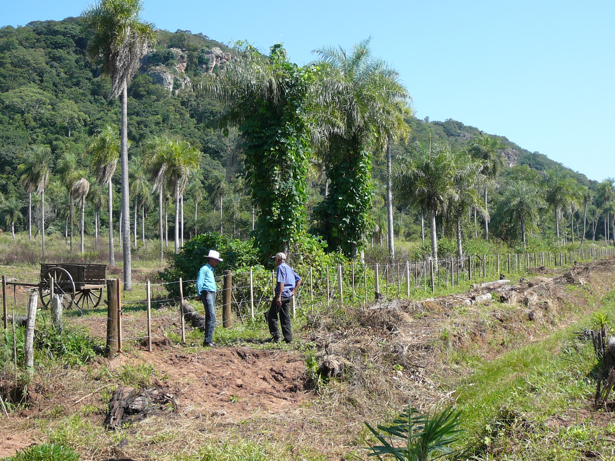 Terreno 8.6ha Con Cerro En Caacupe — foto 4