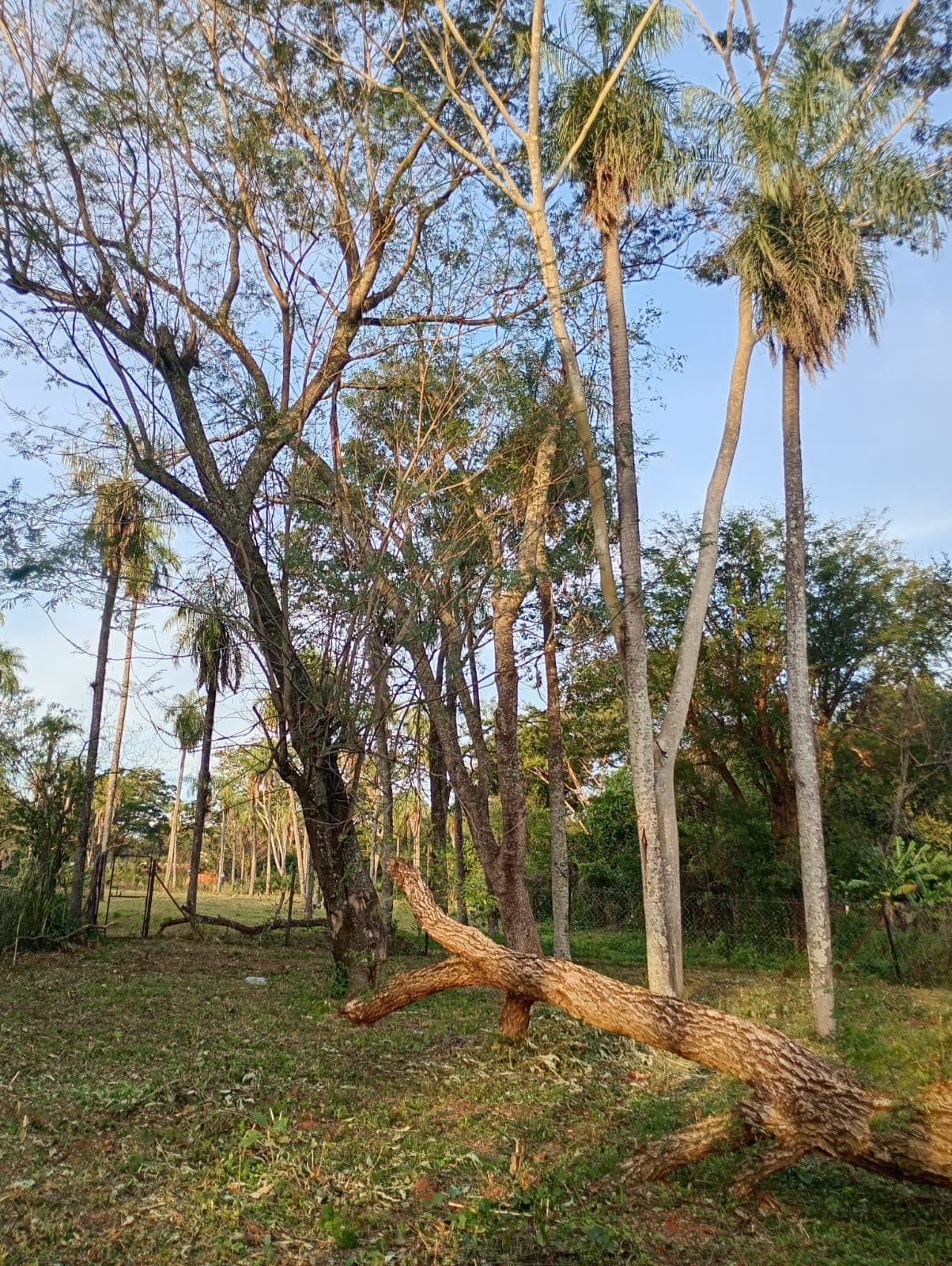 Terreno en caacupemi - areguá, foto 1