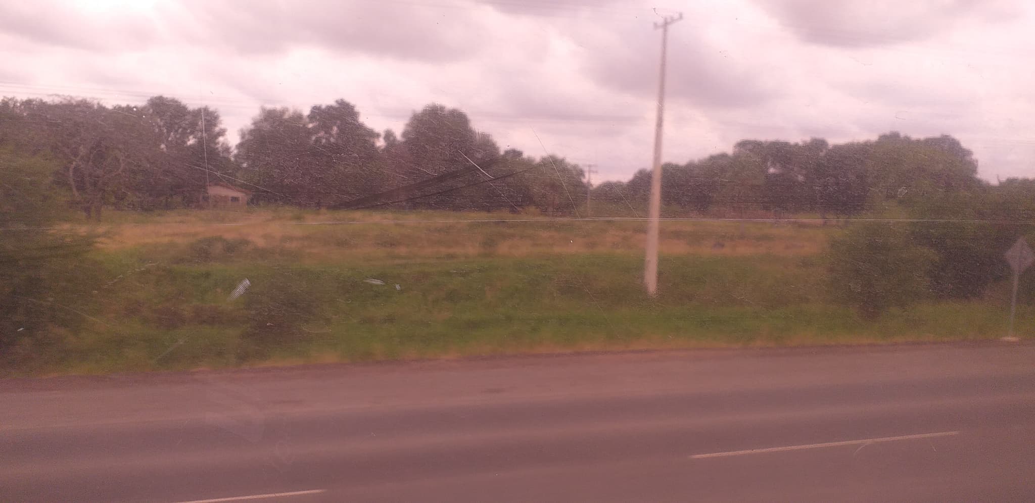 de 35 has. frente con ruta Villa Hayes Falcón — foto 2