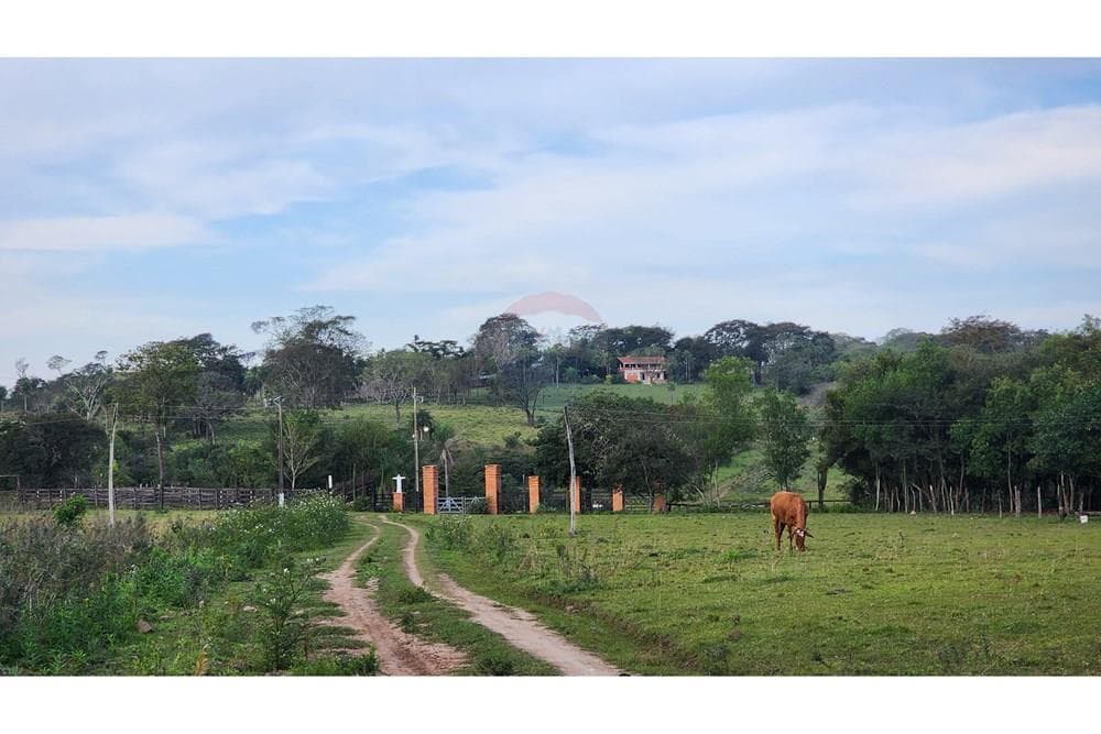 Estancia en el departamento de paraguari 590 hectareas, foto 3