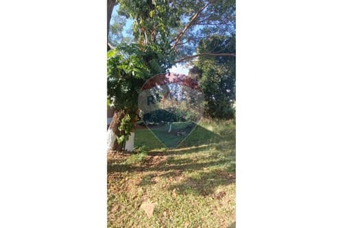 Terreno en San Lorenzo-b,espiritu santo, foto 4