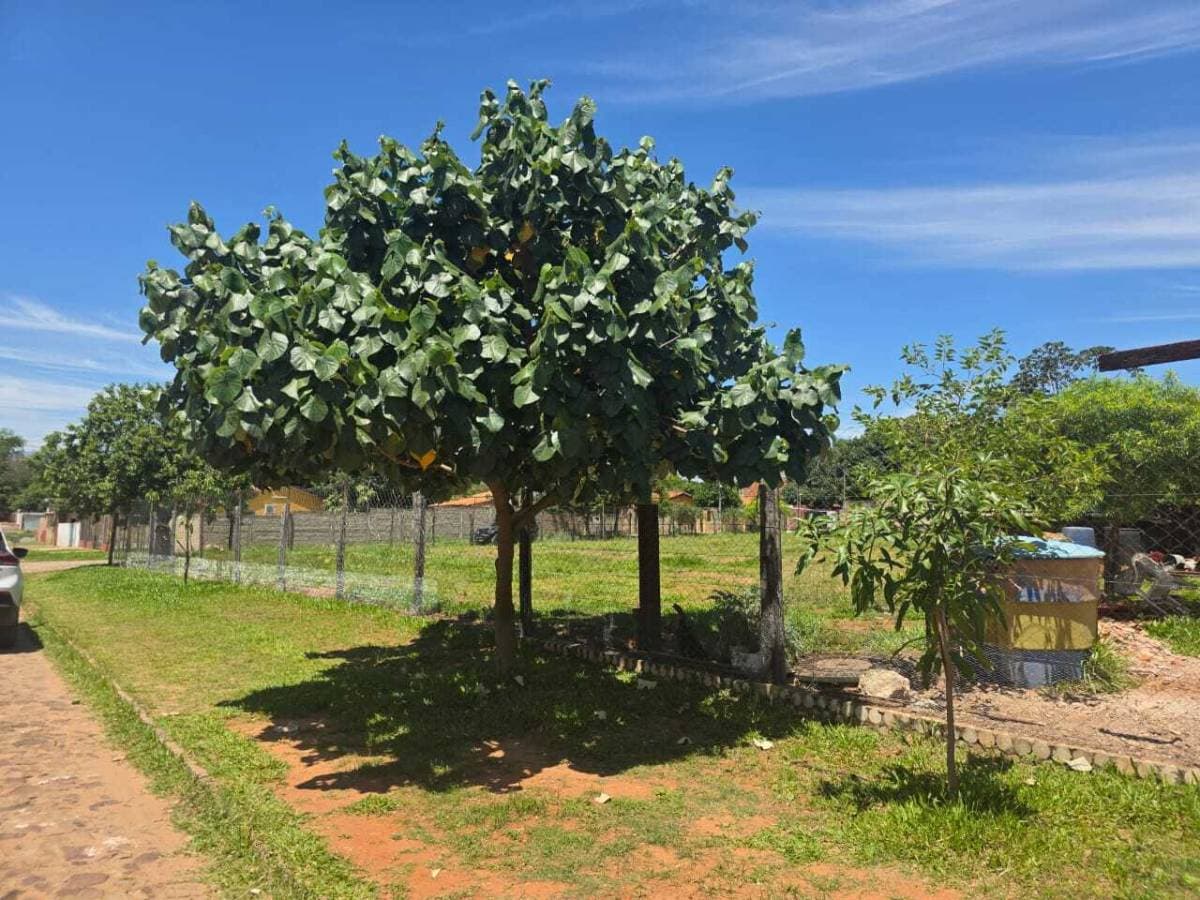 Lotes en Venta – Luque, Barrio Isla Bogado, foto 2
