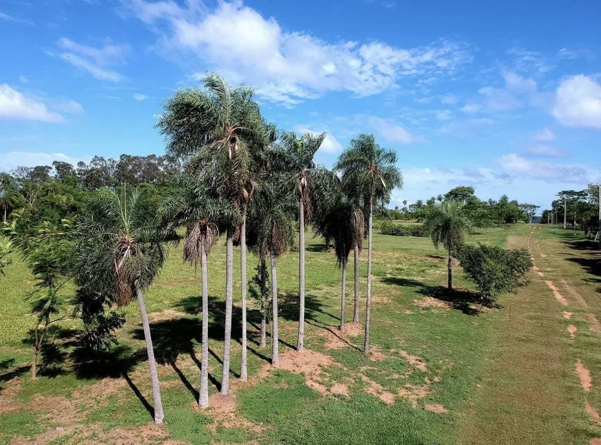 Hermosos terrenos en atyra finca las rocas