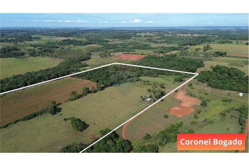 Campo de 34 hectareas en coronel bogado itapua, foto 4