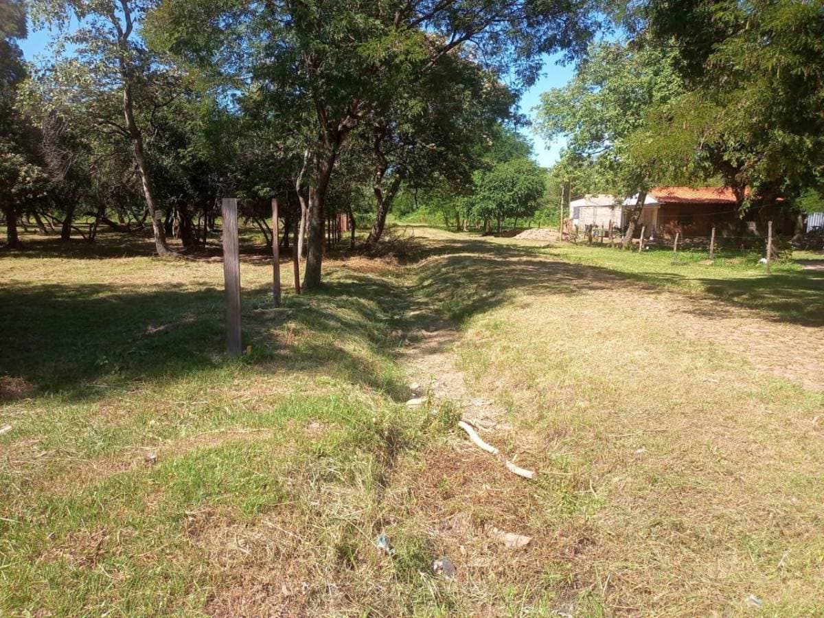 Terreno 2.650 m2 en Fraccion Ciervo Cua - San Bernardino, foto 5