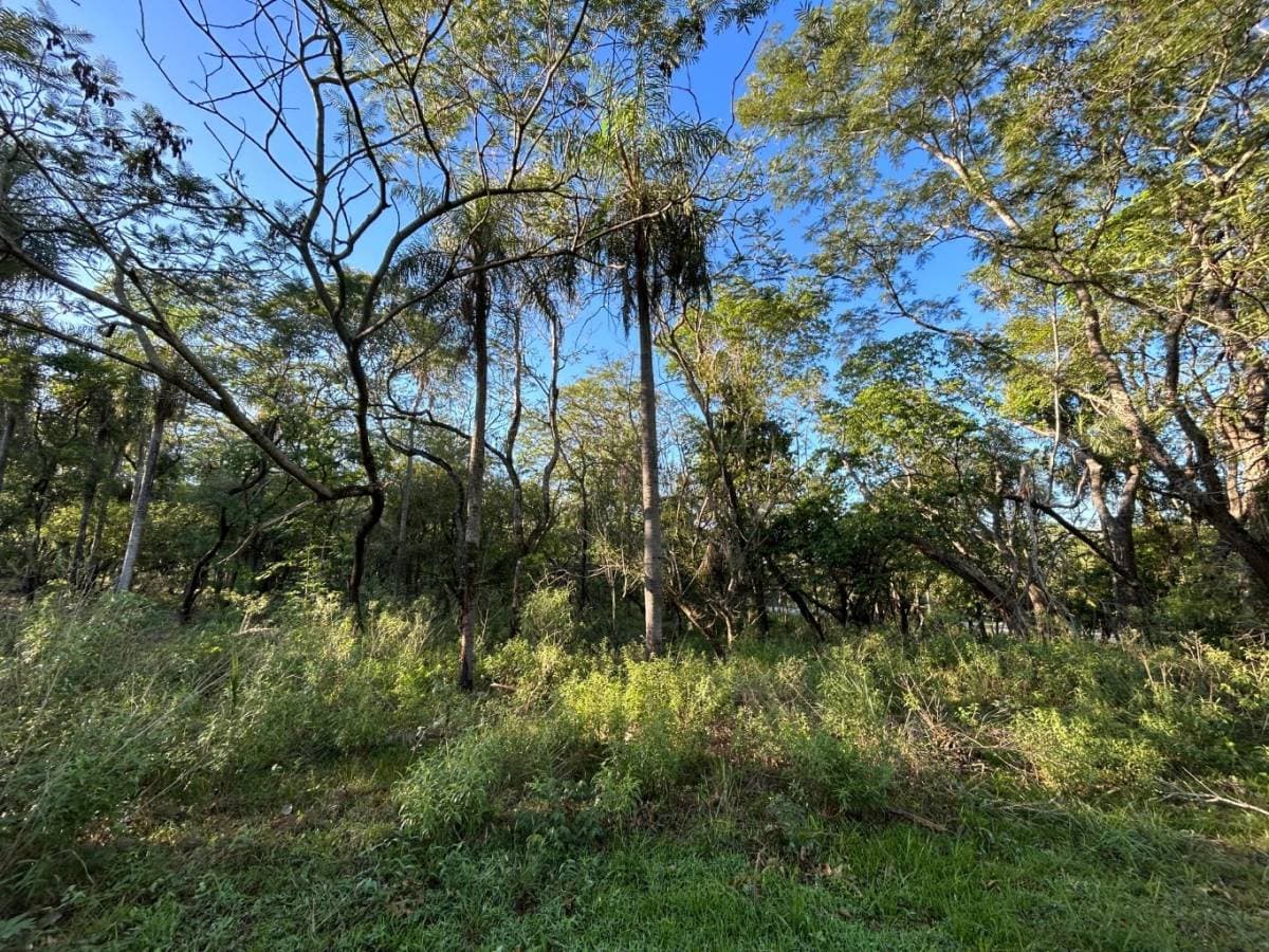 Terreno en San Bernardino 360 m2, foto 3