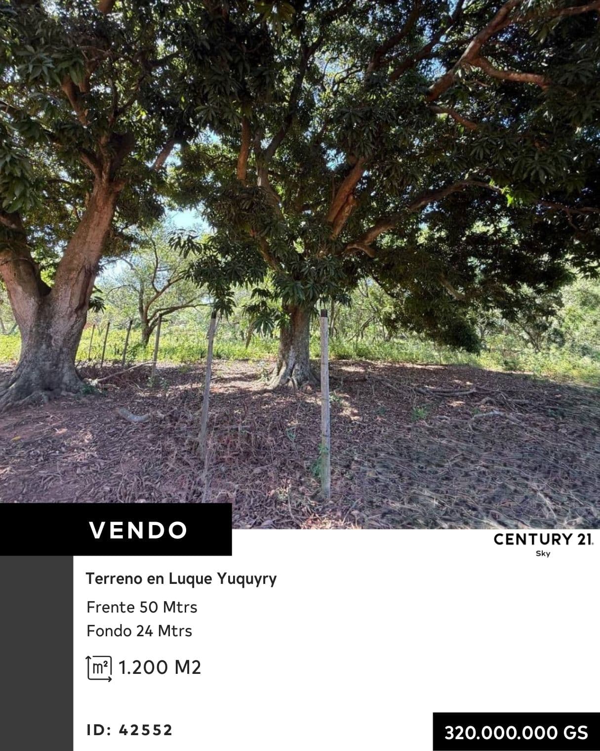 En Venta amplio terreno en Luque