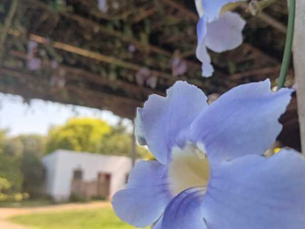 Quinta ecológica en areguá, foto 5