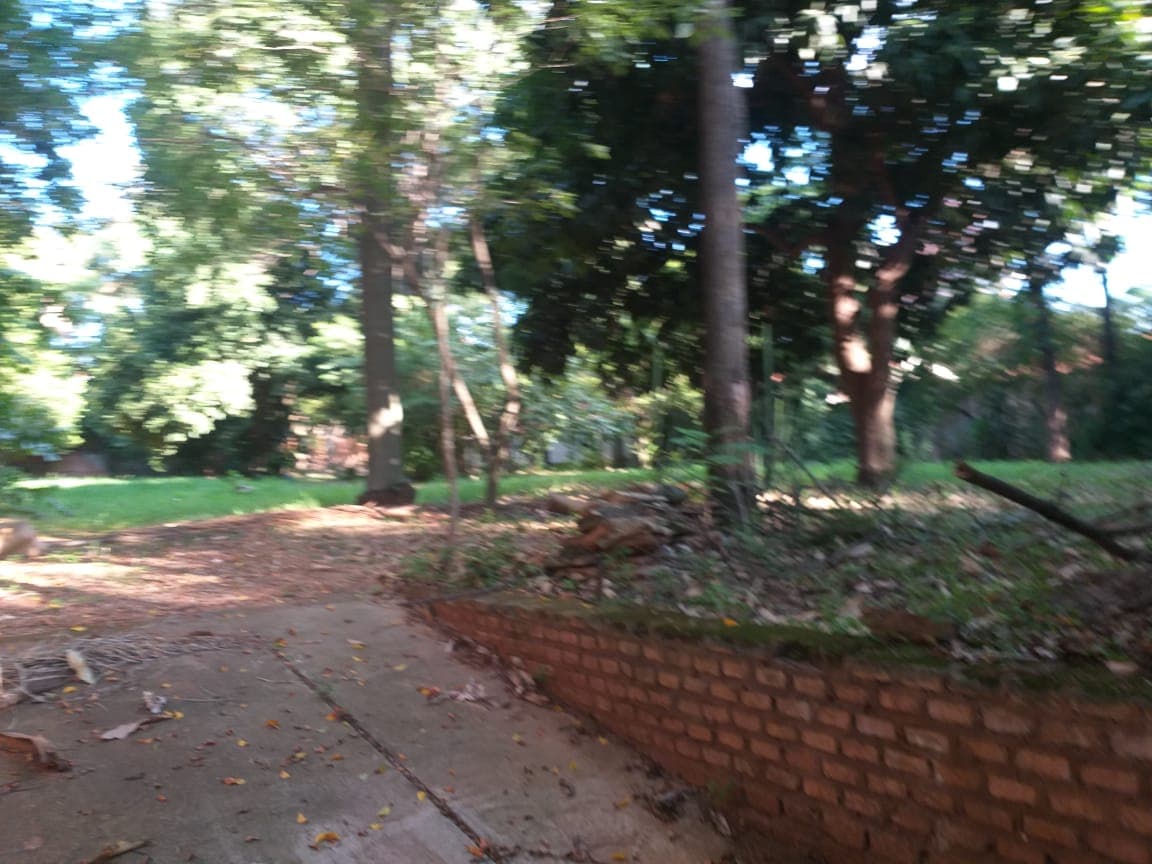 Tierra Lista Para Convertir En Proyecto...!!!, foto 2