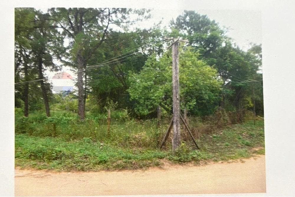 Terreno de 4.000 m² en Villeta (Naranjay Ysy) a 200m de Ruta Principal, foto 2