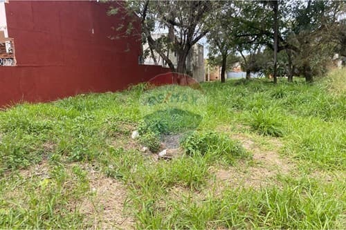 Terreno en San Lorenzo, foto 5
