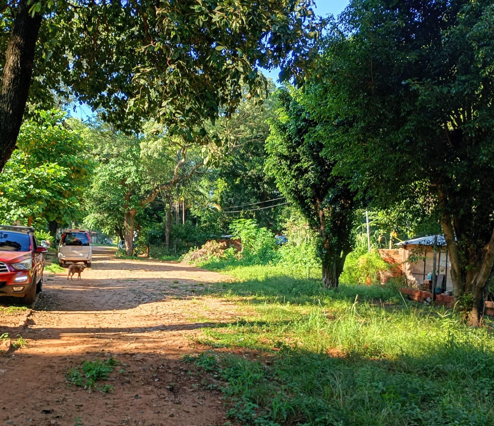 Terreno En Luque, foto 3
