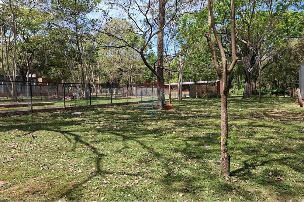 Terreno - Venta - San Bernardino, Paraguay, foto 5