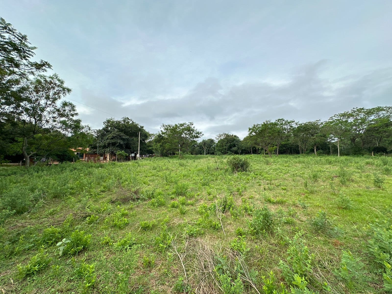 En venta terreno de 5.000 m2 en Caacupé, a 350 metros de Ruta 2, foto 3