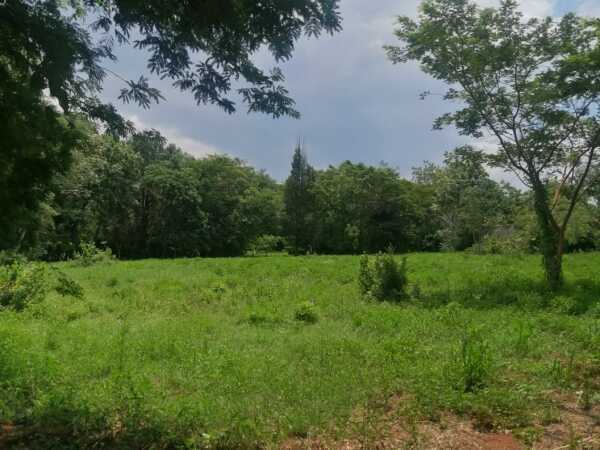 Gran oportunidad de inversión en Maramburé – Luque, foto 5