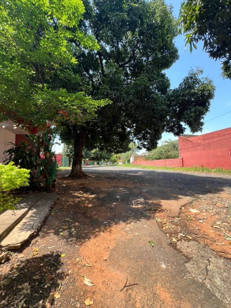 Terreno en alquiler en asuncion - sobre republica argentina — foto 3
