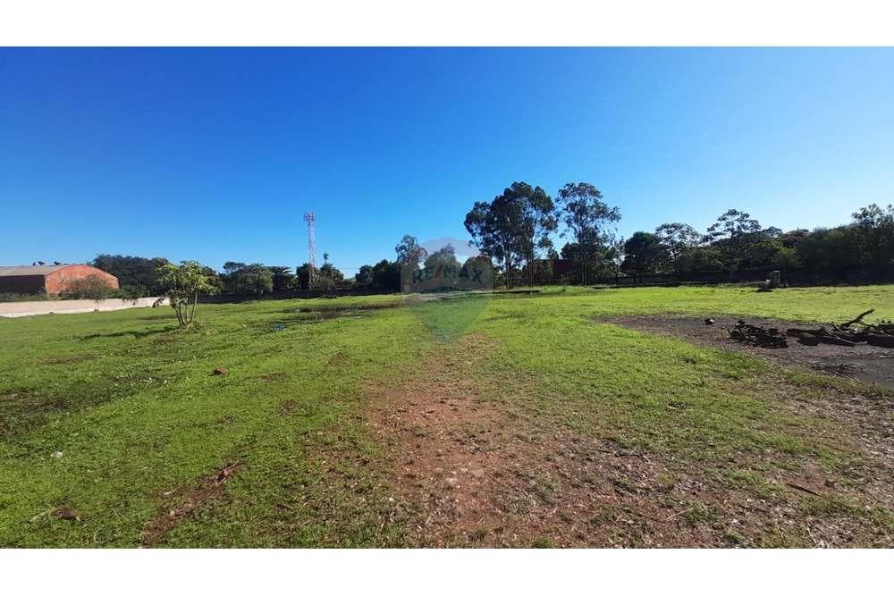 Terreno de 12.466 m2 en Luque, Zona Laurelty, foto 4