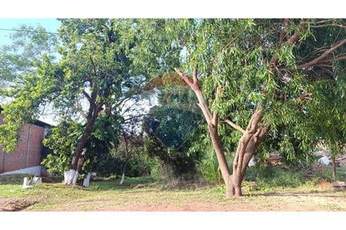 Terreno en San Lorenzo-b,espiritu santo, foto 2