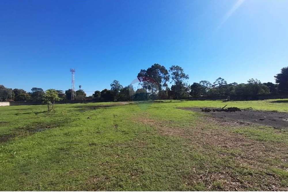 Terreno de 12.466 m2 en Luque, Zona Laurelty, foto 1