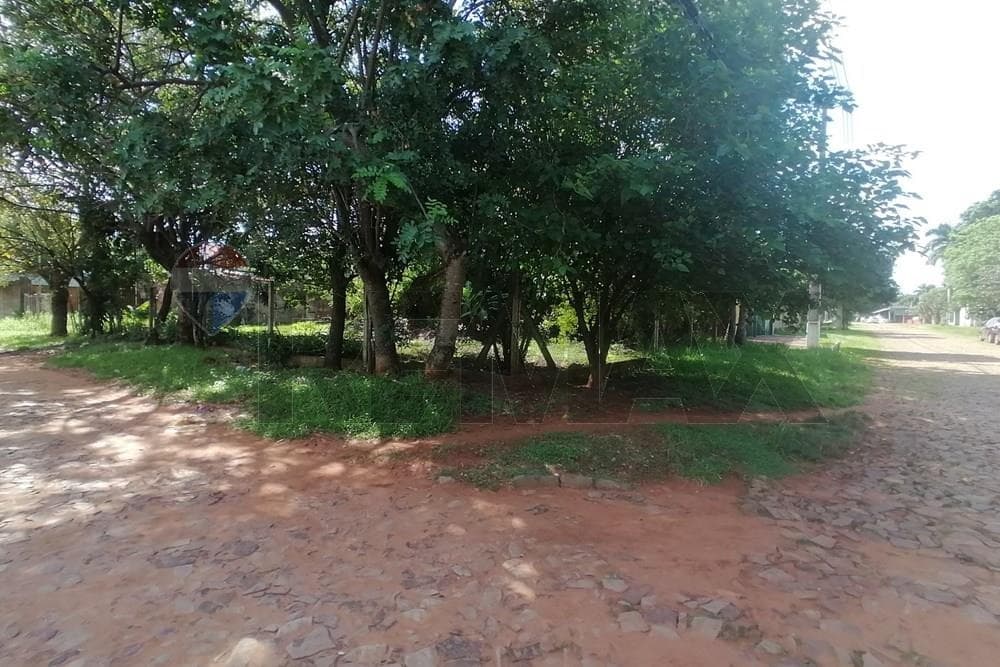 Terreno en Venta Luque - Laurelty, foto 3