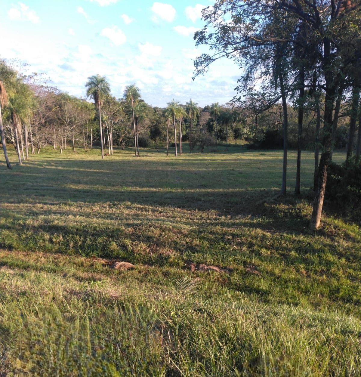 Terreno en venta – carapeguá, paraguarí, foto 2