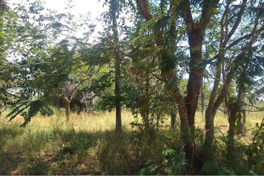 Terreno en esquina en Aregua, foto 1