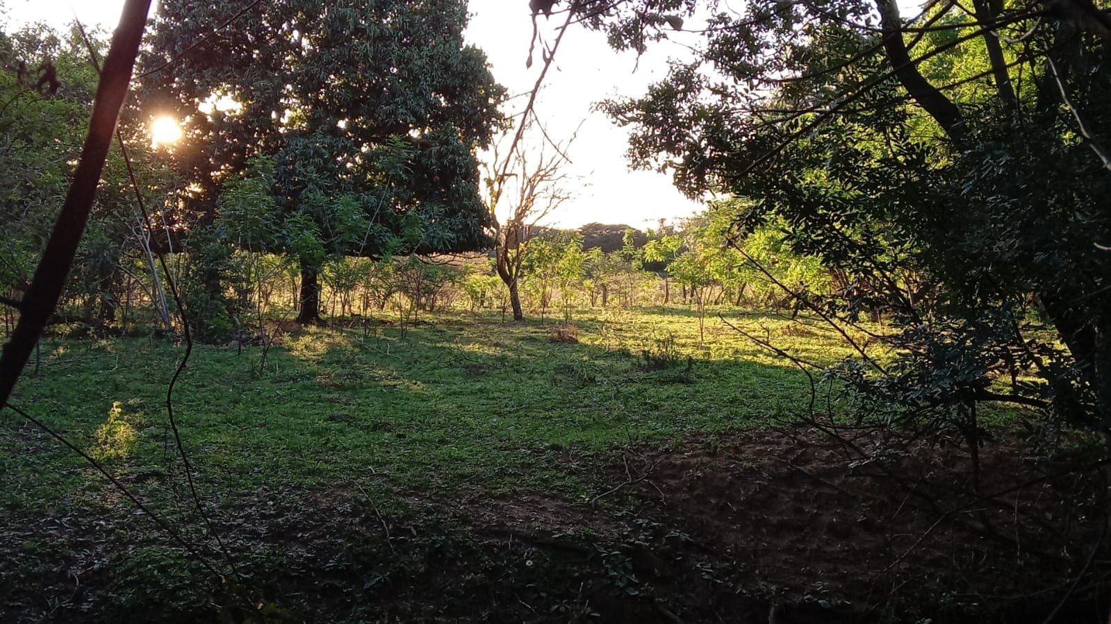 Terreno en mbatovi, foto 3