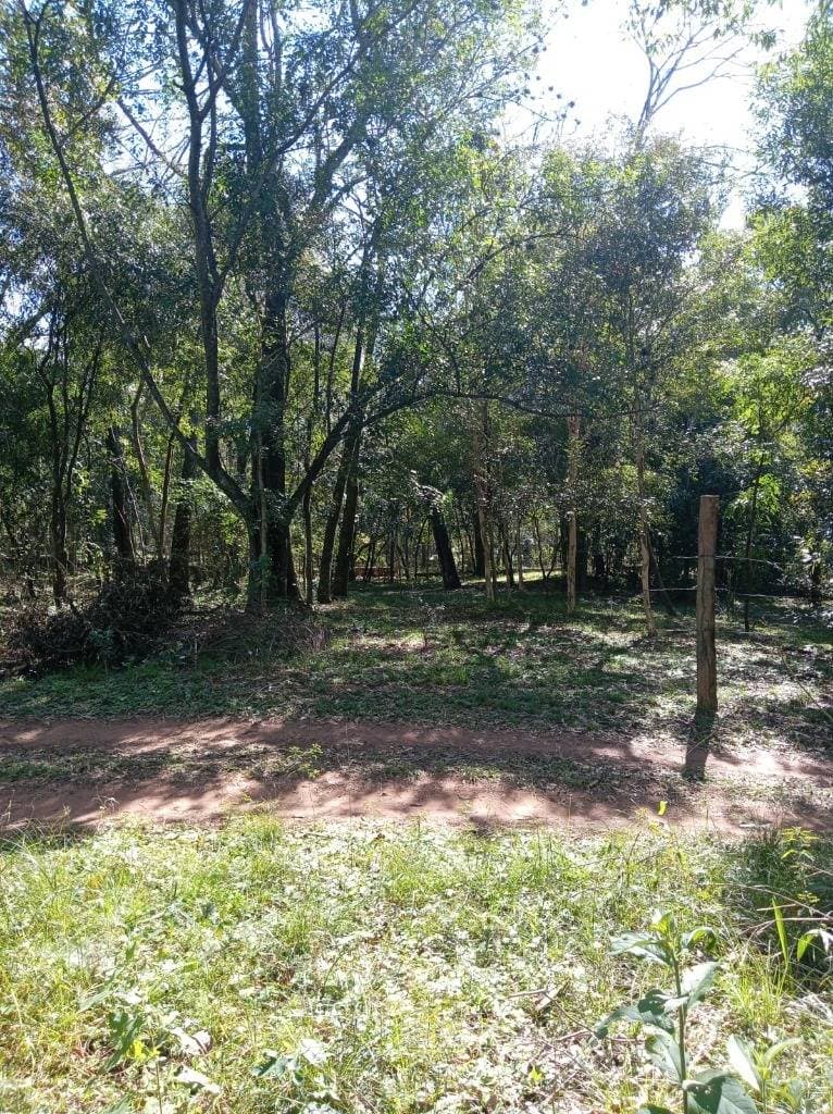 En venta terreno en altos – cordillera, paraguay, foto 2