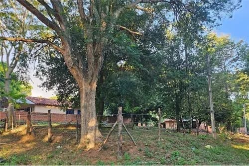 Hermoso Terreno En San Bernardino ✅ Alambrado Y Limpio — foto 4