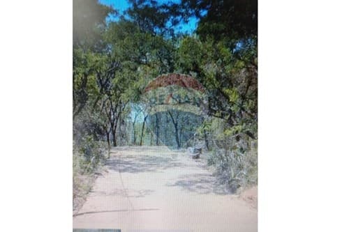 Terreno en venta, San Bernardino, foto 3