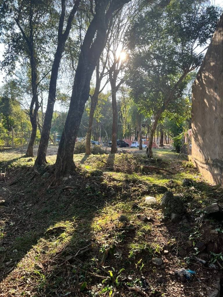 En venta terreno en San Bernardino, foto 4