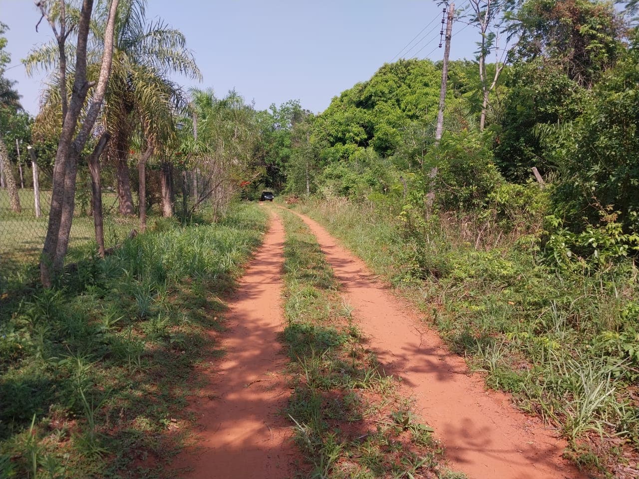 3 terrenos juntos en aregua pindolo, foto 4