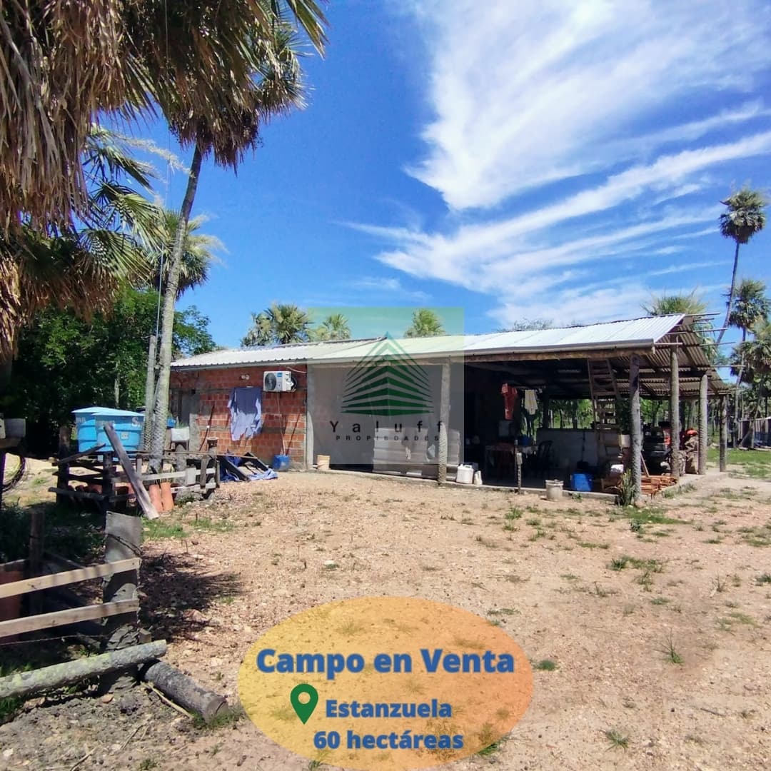 Campo en estanzuela villa oliva de 60 has para ganadería — foto 2