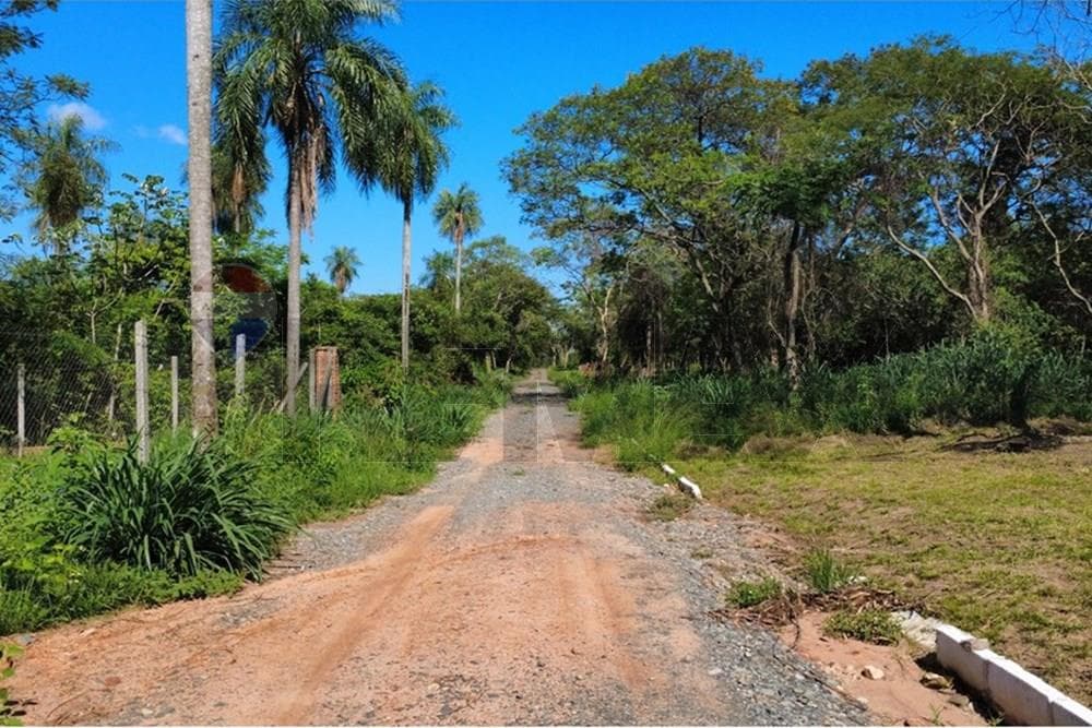 En venta casi 9 hectareaas de terreno en sanber!!, foto 4