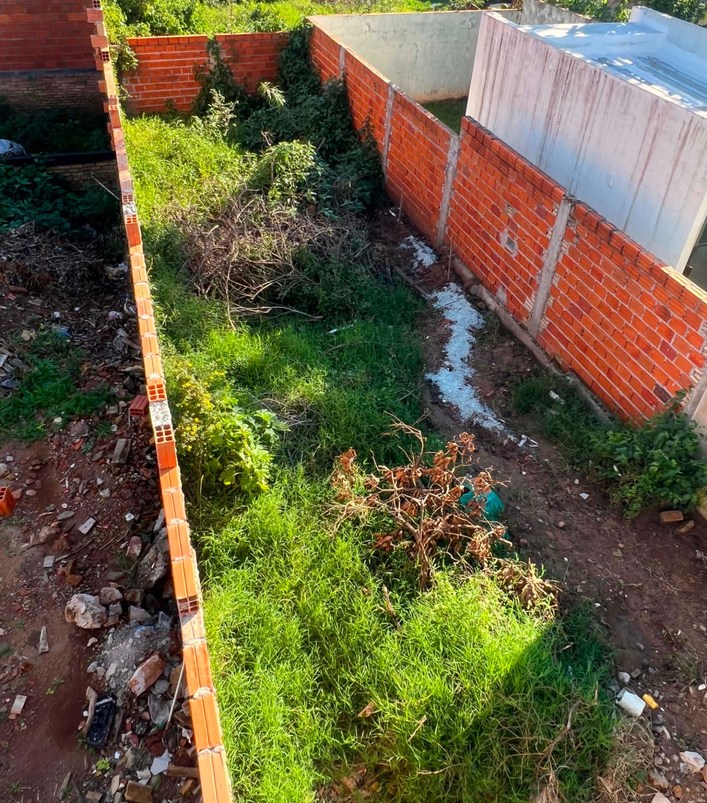 OPORTUNIDAD - Terreno En Luque — foto 5