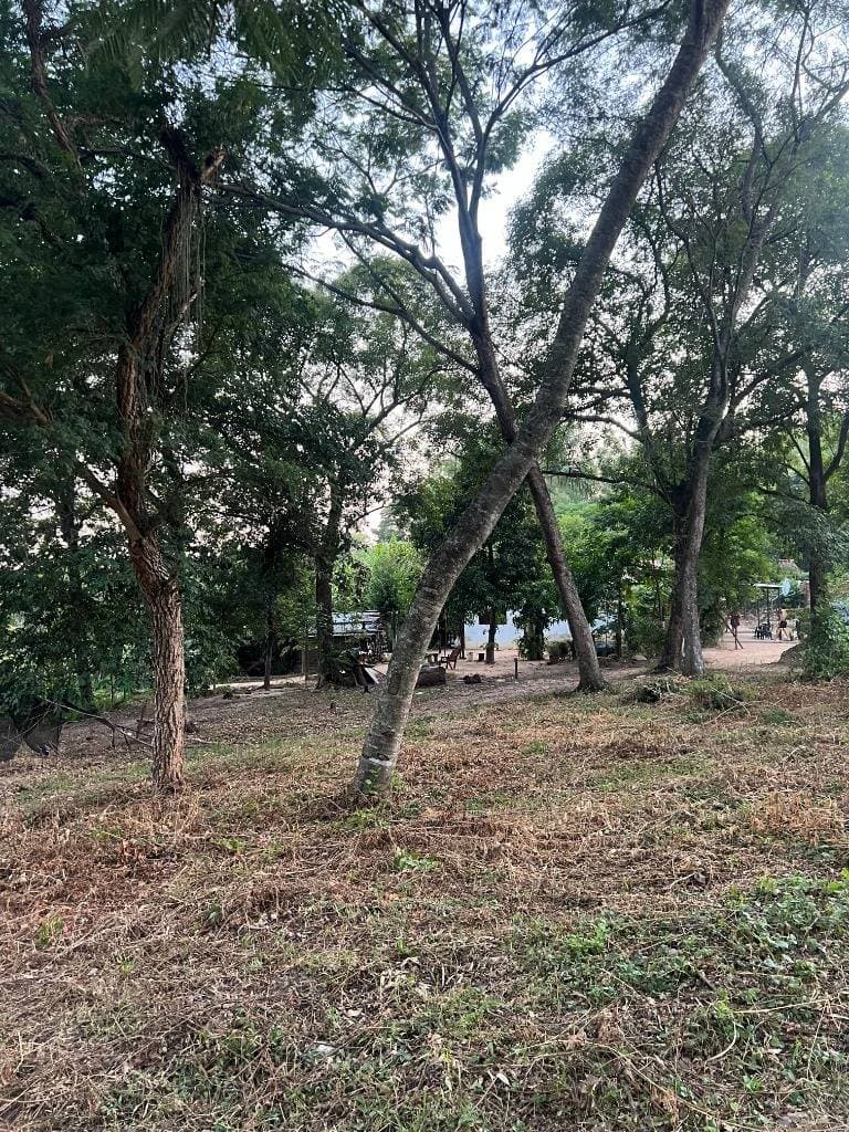Este terreno en Luque, Barrio Isla Bogado, puede ser para vos . ID 48518, foto 3