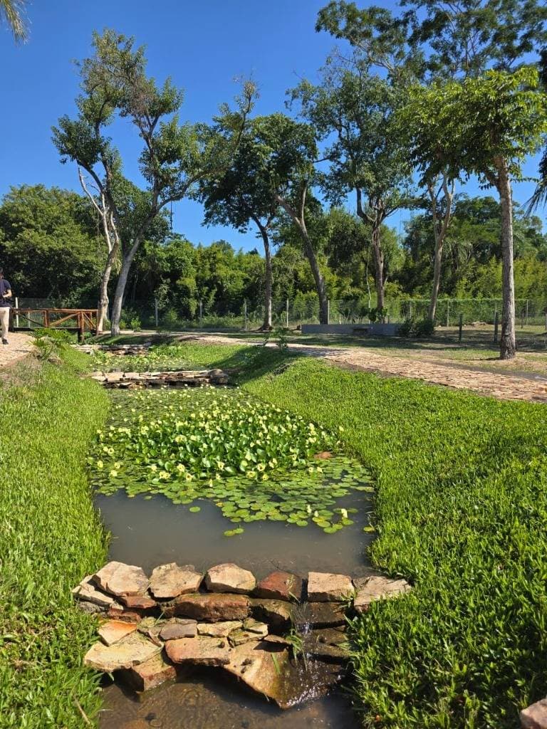 De terreno en areguá forest, foto 4