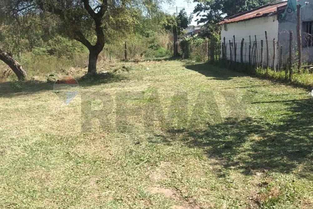Terreno en venta - Luque — foto 5