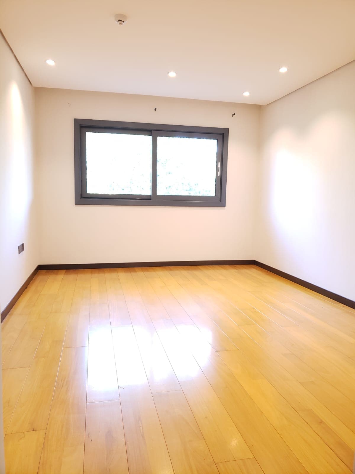 Amplio Y Hermoso Departamento De Tres Dormitorios En Suite !!, foto 4