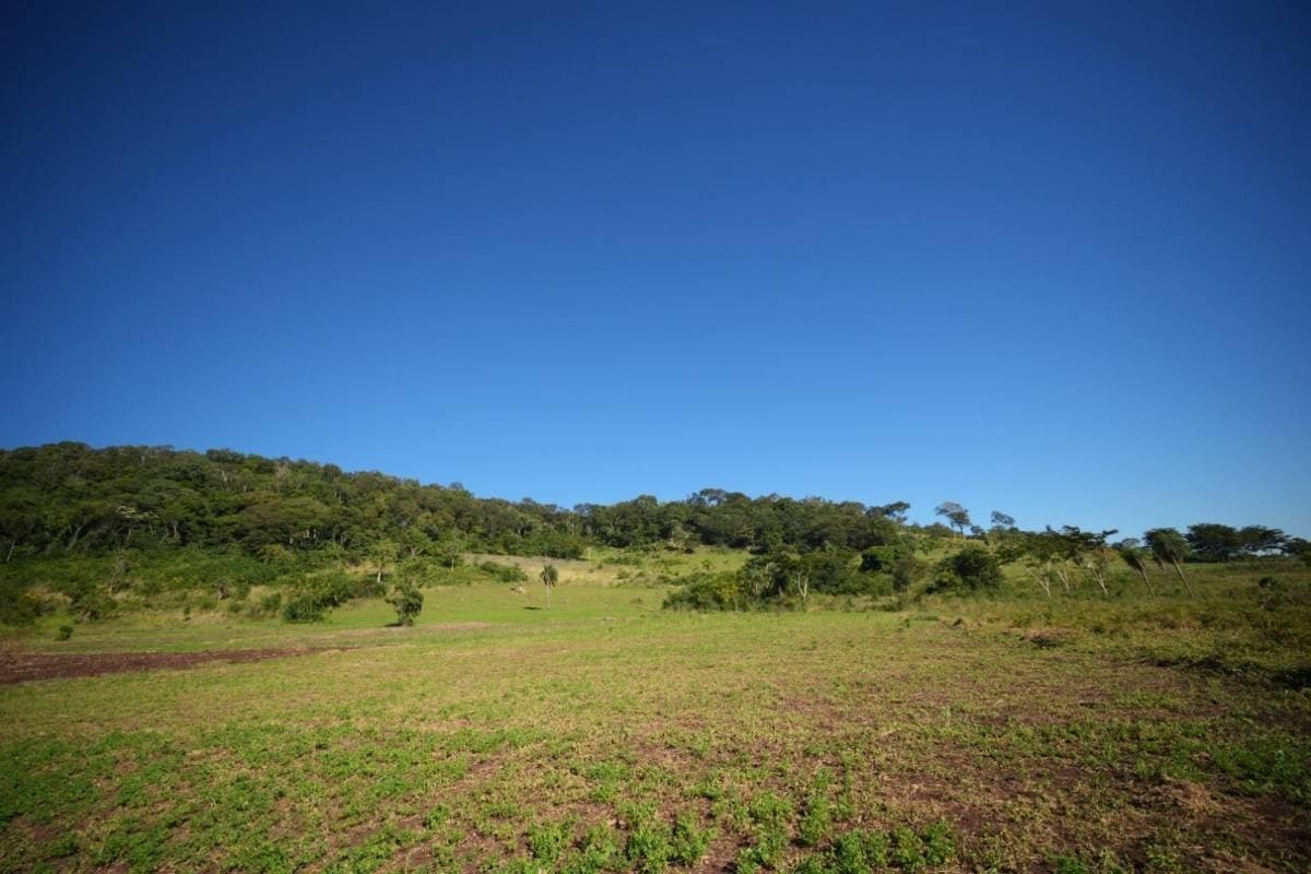 20 hectáreas en cerro cora - sapucai, foto 3