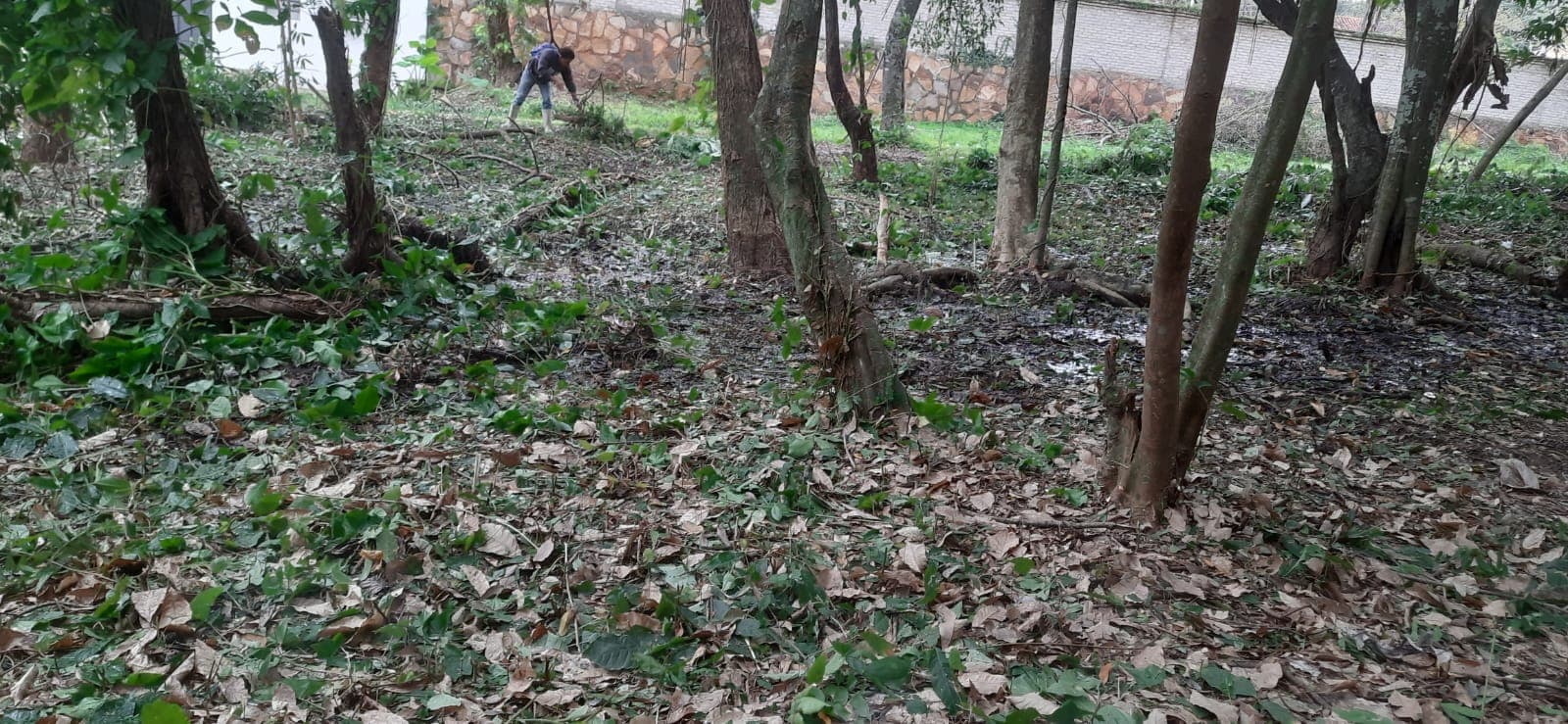 En venta 4 terrenos juntos en San Ber zona céntrica!, foto 1