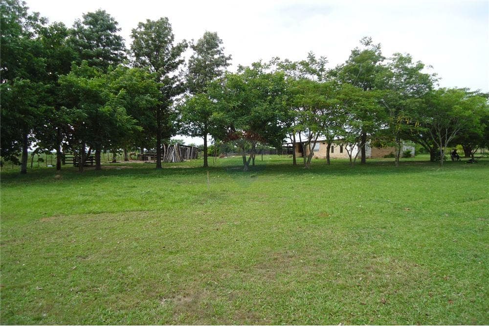 Estancia formada de 77 ha en san pedro!, foto 4