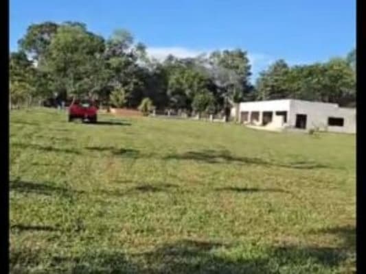 Terreno en venta, coronel oviedo, foto 2