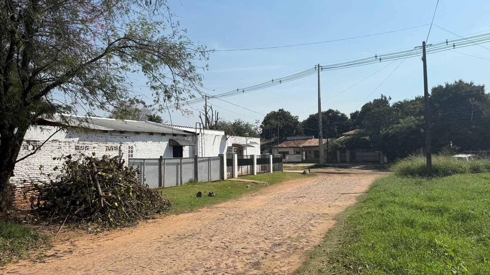 TERRENO EN Luque (Entrada al Barrio Palma Loma), foto 4