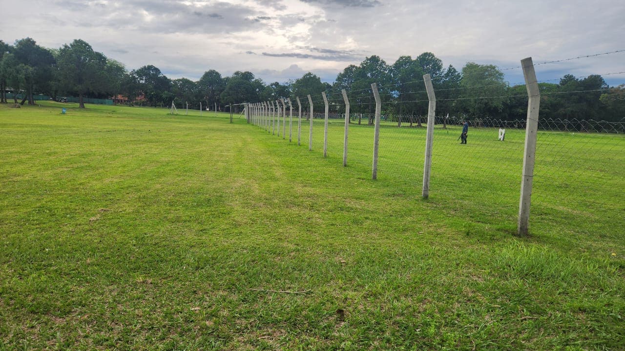 Terreno en lambare, foto 2